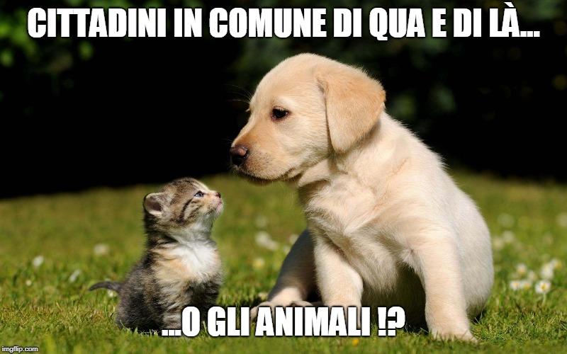 Rispettiamo e proteggiamo gli animali ed il loro habitat